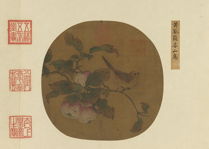 【展覽】來禽圖——翎毛與花果的和諧奏鳴