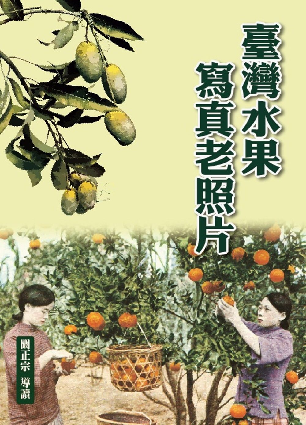 臺灣水果寫真老照片