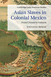 Asian Slaves in Colonial Mexico: From Chinos to Indians